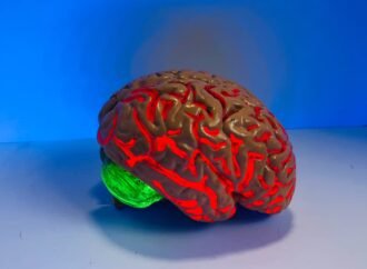 7 Daily Habits Proven to Boost Your Brainpower