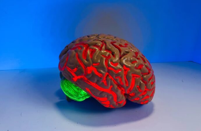 7 Daily Habits Proven to Boost Your Brainpower